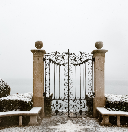 Heavy-duty security gate built for maximum protection